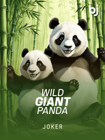 Wild Giant Pandapng